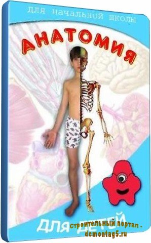 Анатомия человека для детей (2009) DVDRip