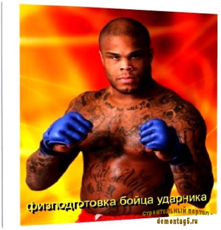 О физподготовке бойца ударника (2010) DVDRip
