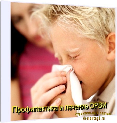 Профилактика и лечение ОРВИ у детей (2011) DVDRip