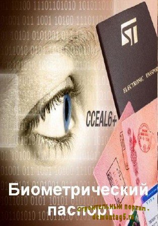 Биометрический паспорт (2010) DVDRip