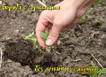 Борьба с сорняками без лопаты и химии (2011) DVDRip