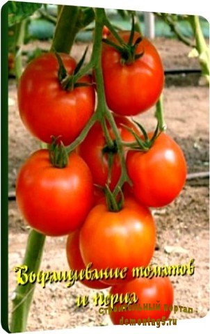 Выращивание томатов и перца (2011) DVDRip