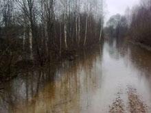Восемь деревень в Подмосковье затопило из-за прорыва плотины