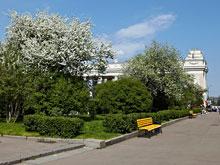 В парке Горького открывается фестиваль искусств Черешневый лес