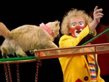 Клоуна из цирка на проспекте Вернадского жестоко убили в Подмосковье