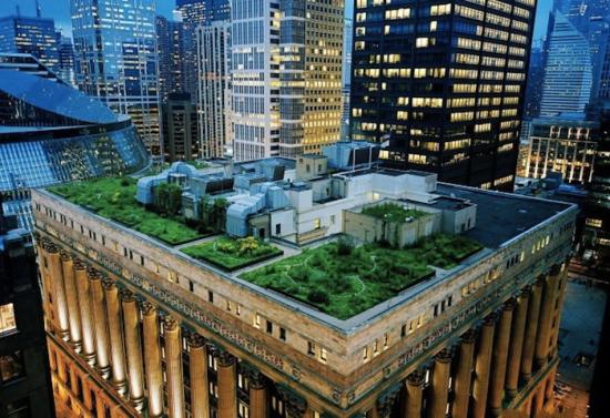 Зеленая крыша в Чикаго - шедевр современной эко-архитектуры